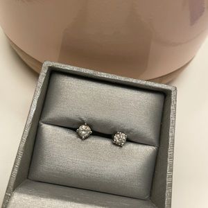 3/4 ct. t.w in 14 White Gold Diamond Stud Earring